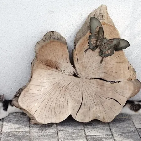 Wohlfuehlhof Bachzelt Pensjonat 3*