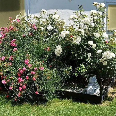 Wohlfuehlhof Bachzelt Pensjonat