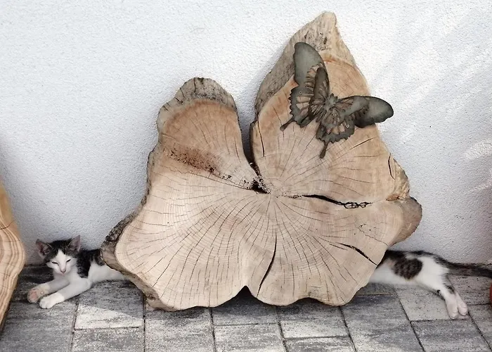 Wohlfuehlhof Bachzelt Penzion 3*