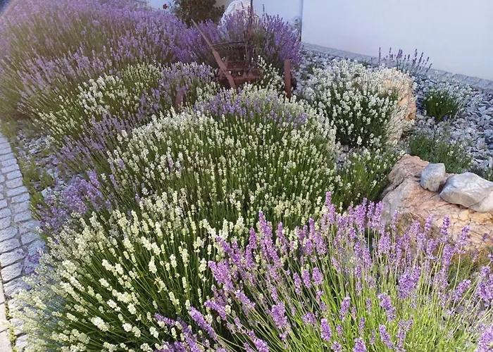 Wohlfuehlhof Bachzelt 3* Weitersfeld