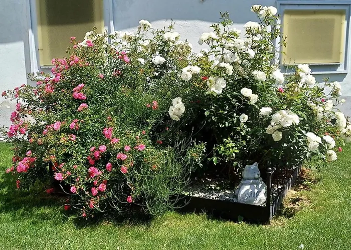 Wohlfuehlhof Bachzelt Penzion